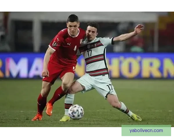 世界杯竞猜比分规则解析与玩法介绍助你轻松赢取丰厚奖金